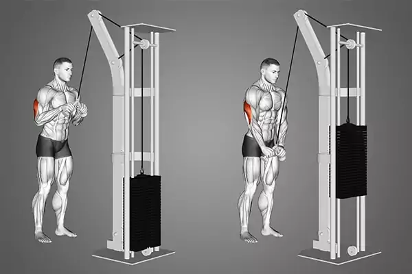 rope triceps press