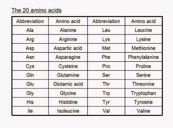 essential amino acids