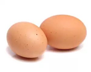 eggs