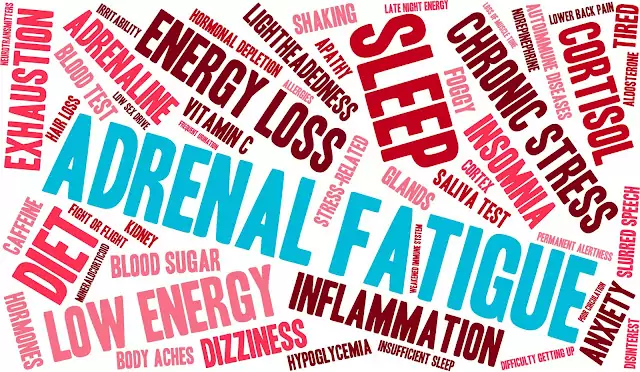 ten symptoms of adrenal fatigue