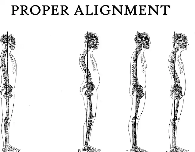 postural health