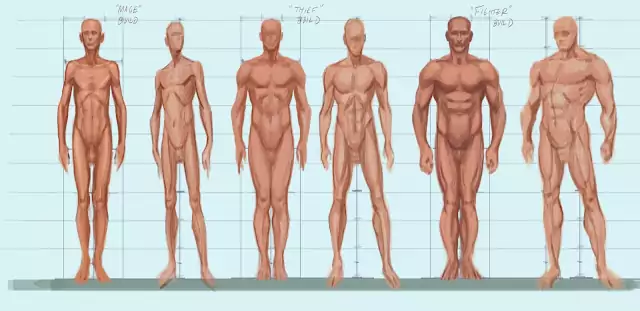 body types in psychology