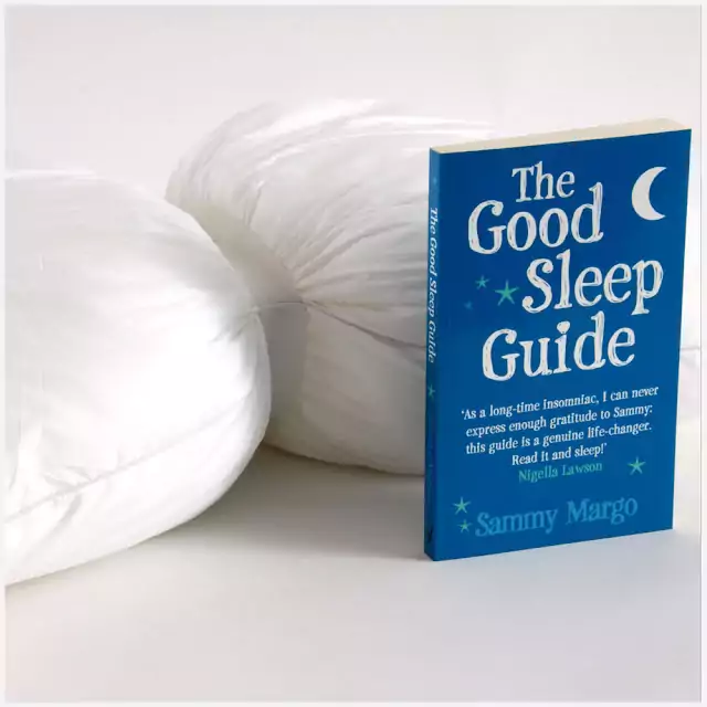 the good sleep guide